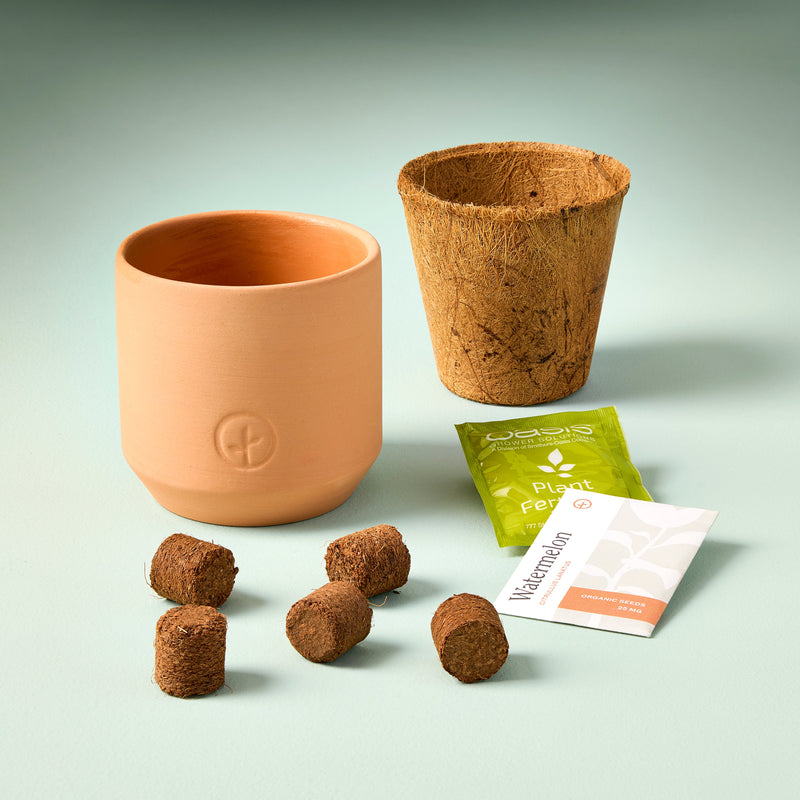 Modern Sprout Tiny Terracotta Garden Kits Indoor Garden Kit Light Gray Baby Watermelon,Cherry Tomato,Sweet Yellow Pepper