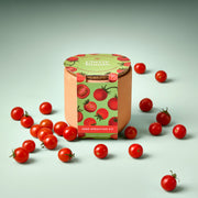 Modern Sprout Tiny Terracotta Garden Kits Indoor Garden Kit Light Gray Baby Watermelon,Cherry Tomato,Sweet Yellow Pepper