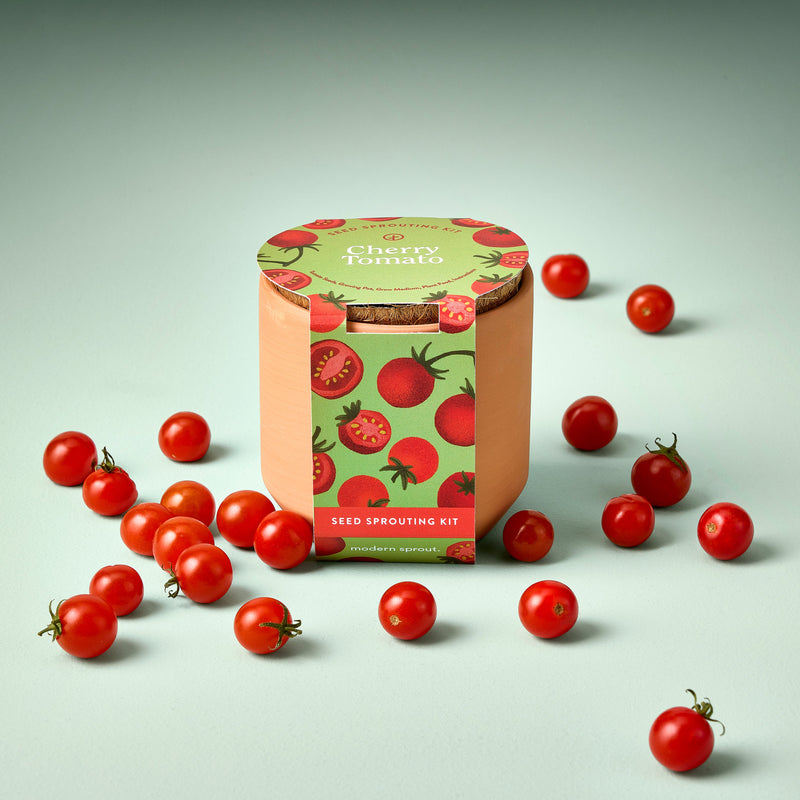 Modern Sprout Tiny Terracotta Garden Kits Indoor Garden Kit Light Gray Baby Watermelon,Cherry Tomato,Sweet Yellow Pepper