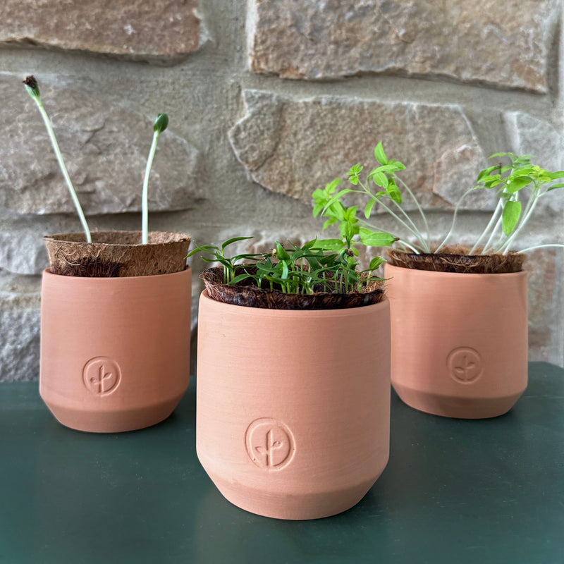 Modern Sprout Tiny Terracotta Garden Kits Indoor Garden Kit Slate Gray Baby Watermelon,Cherry Tomato,Sweet Yellow Pepper