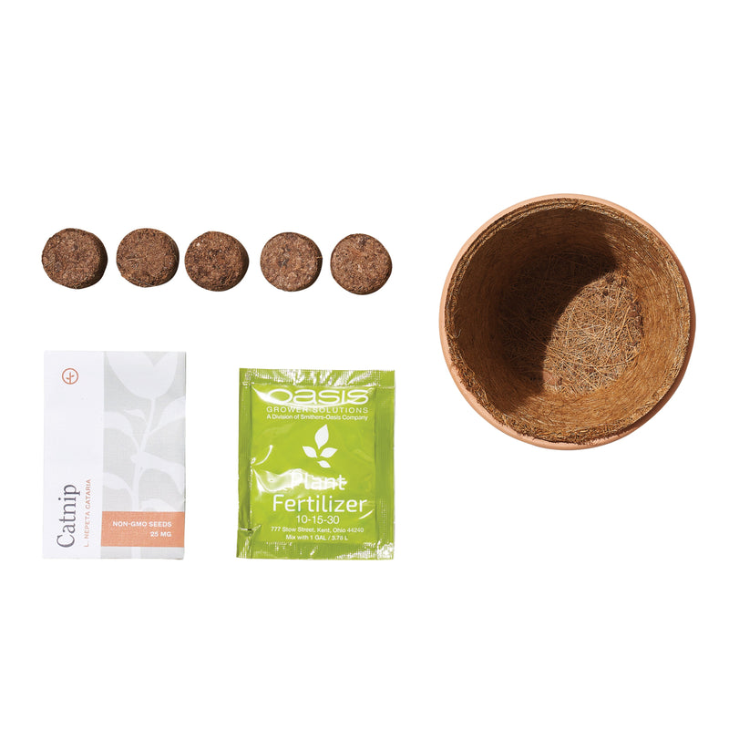 Modern Sprout Pet Tiny Terracotta Grow Kits Indoor Garden Kit Dark Khaki Curious Catnip,Good Dog Greens