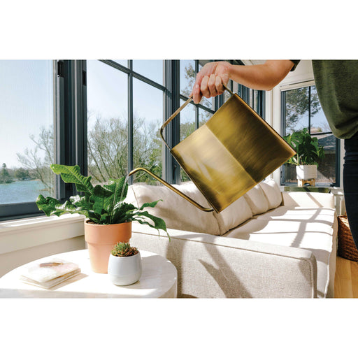 Modern Sprout Watering Cans Accessory Gray Brass,Evergreen,Matte Black