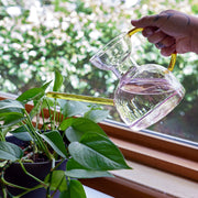 Modern Sprout Glass Watering Can Accessory Dark Olive Green Lilac/Emerald,Blush/Amber,Teal,Clear,Blush