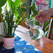 Modern Sprout Glass Watering Can Accessory Dark Olive Green Lilac/Emerald,Blush/Amber,Teal,Clear,Blush