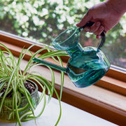 Modern Sprout Glass Watering Can Accessory Lavender Lilac/Emerald,Blush/Amber,Teal,Clear,Blush