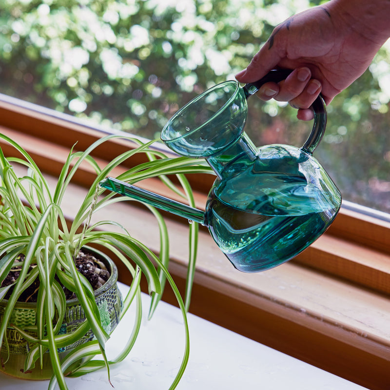 Modern Sprout Glass Watering Can Accessory Lavender Lilac/Emerald,Blush/Amber,Teal,Clear,Blush