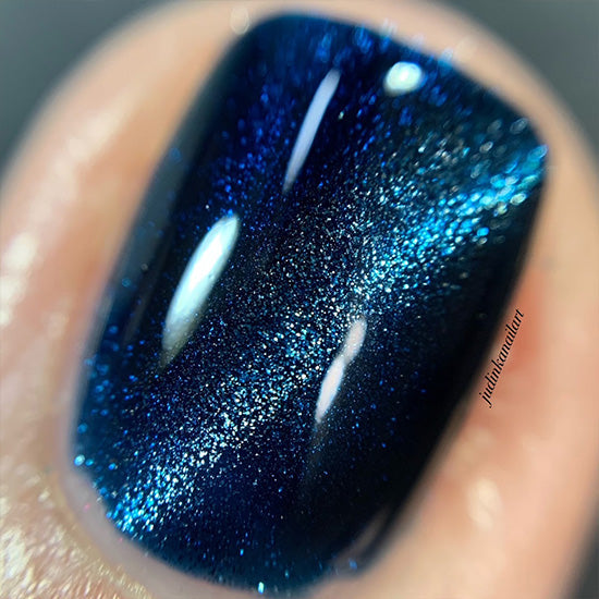 Madam Glam Wet bandit Midnight Blue