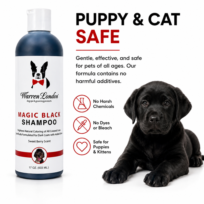 Warren London Magic Black Brightening Dog Shampoo Pet Shampoo & Conditioner White Smoke