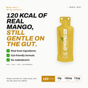 myspringenergy Mango Mint Energy Gel with 30 mg of Caffeine 120 Kcal Gel White Smoke 1 qty,10 pack,20 pack