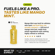 myspringenergy Mango Mint Energy Gel with 30 mg of Caffeine 120 Kcal Gel White Smoke 1 qty,10 pack,20 pack