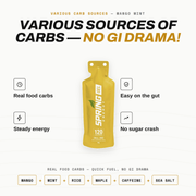 myspringenergy Mango Mint Energy Gel with 30 mg of Caffeine 120 Kcal Gel White Smoke 1 qty,10 pack,20 pack