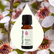 Plant Therapy Manuka Essential Oil Essential Oil Seashell 10 mL,5 mL
