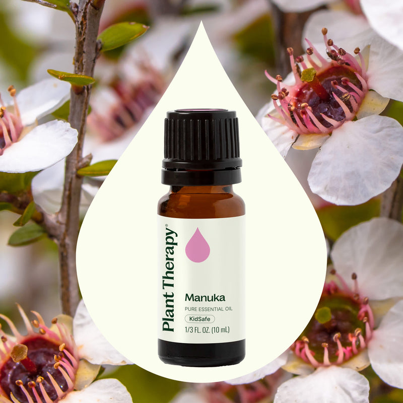 Plant Therapy Manuka Essential Oil Essential Oil Seashell 10 mL,5 mL