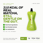 myspringenergy Matcha Berry Endurance Meal With Natural Caffeine (Vegan) 310 Kcal Meal White Smoke 1 pack,10 pack