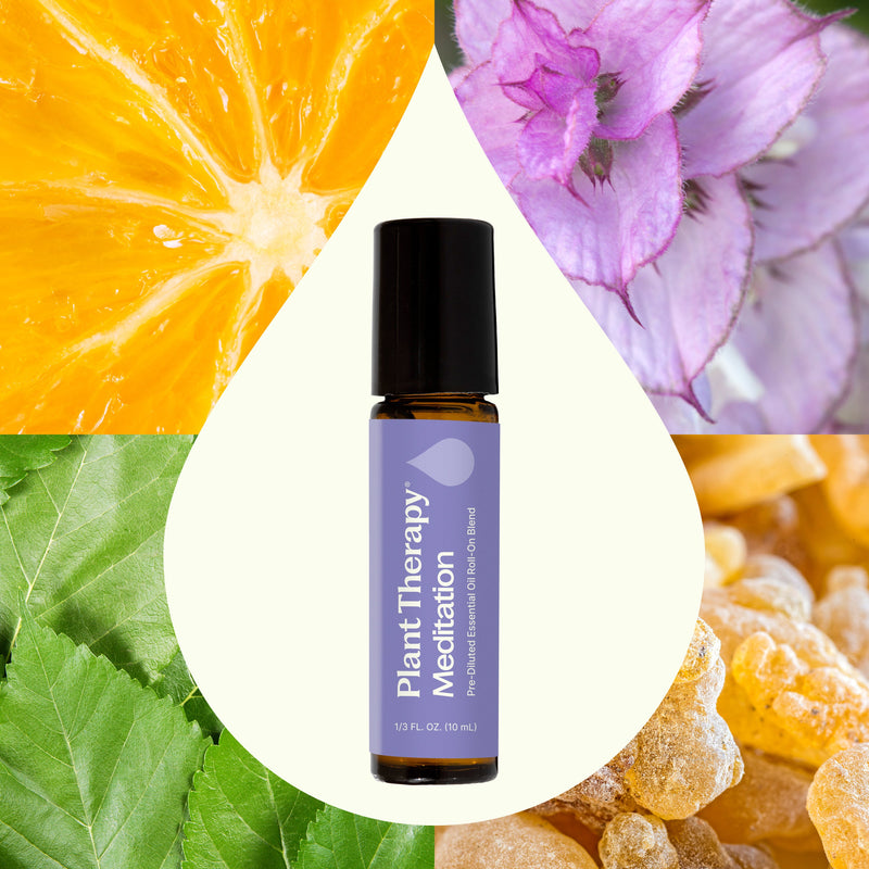 Plant Therapy Meditation Essential Oil Blend Pre-Diluted Roll-On Essential Oil Seashell 10 mL