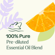 Plant Therapy Meditation Essential Oil Blend Pre-Diluted Roll-On Essential Oil Seashell 10 mL