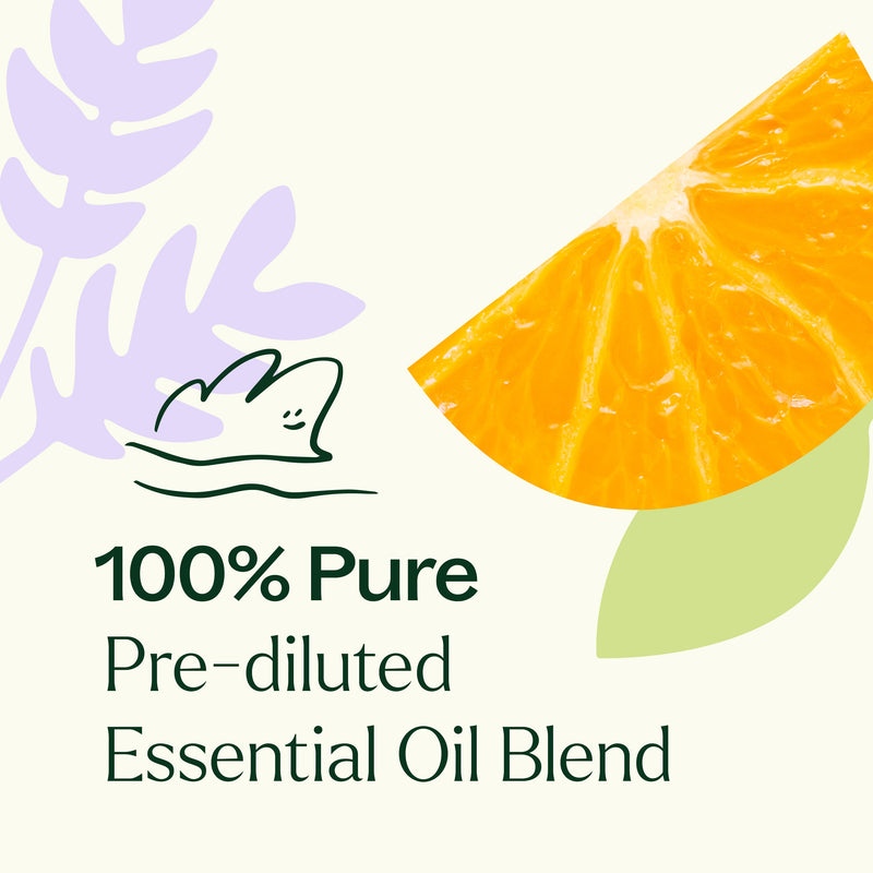 Plant Therapy Meditation Essential Oil Blend Pre-Diluted Roll-On Essential Oil Seashell 10 mL