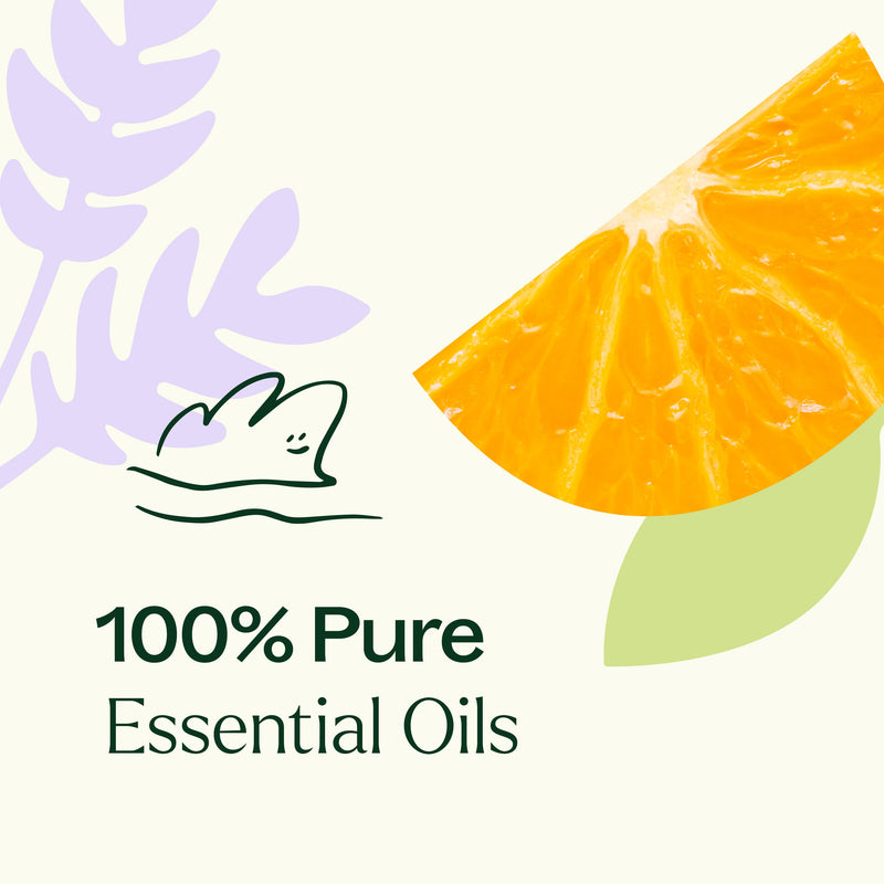 Plant Therapy Meditation Essential Oil Blend Essential Oil White Smoke 10 mL