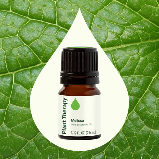 Plant Therapy Melissa Essential Oil Essential Oil Seashell 2.5 mL