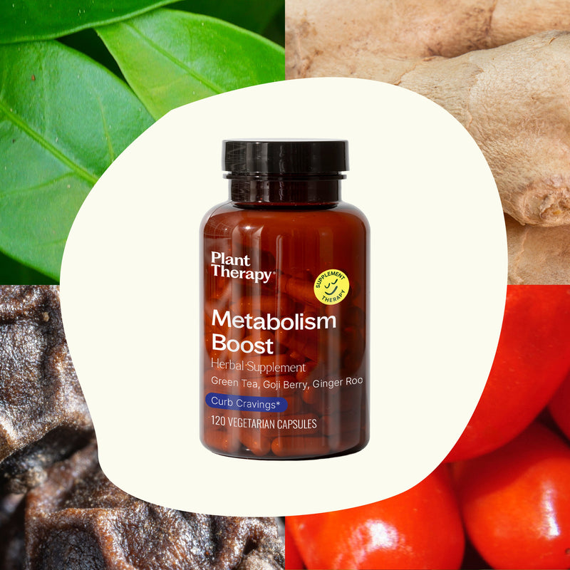 Plant Therapy Metabolism Boost Herbal Supplement - 120 Capsules Supplement Seashell 120 ct