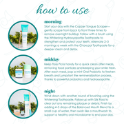 Wellnesse Mineralizing Oral Care Kit Oral Care White Smoke