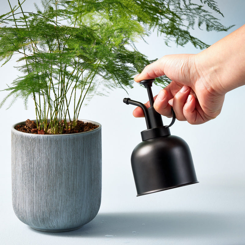 Modern Sprout Misters Accessory Light Gray black/brass,white/brass,brass,matte black
