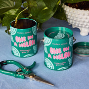 Modern Sprout Complimentary Colors Grow Kits Indoor Garden Kit Dark Gray Stay Zen Friend 1pk,One in a Melon 1pk,You are My Jam 1pk,Awesome Sauce 1pk,Bada Bloom 1pk,Stuck on You 1pk,Mixed 4pk,Mixed 6pk,Rockin' Around 1pk,Let It Grow 1pk,Spirits Bright 1pk,Seasonal Mixed 3pk