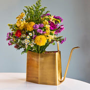 Modern Sprout Watering Cans Accessory Light Slate Gray Brass,Evergreen,Matte Black