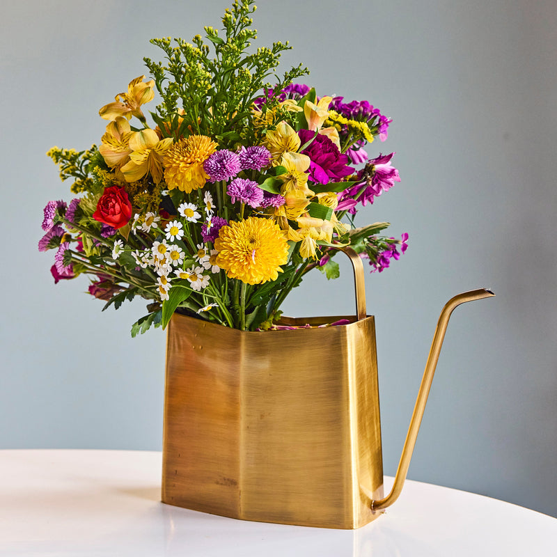Modern Sprout Watering Cans Accessory Light Slate Gray Brass,Evergreen,Matte Black