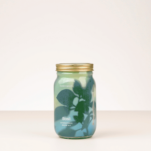 Modern Sprout Garden Jars - Organic Herbs Indoor Garden Kit Dim Gray Lavender 1pk,Basil 1pk,Parsley 1pk,Mint 1pk,Rosemary 1pk,Cilantro 1pk,Basil+Parsley+Mint+Rosemary+Cilantro+Lavender 6pk,Basil+Parsley+Mint+Rosemary+Cilantro 5pk,Basil+Mint 2pk,Basil+Parsley 2pk,Basil+Rosemary 2pk,Basil+Cilantro 2pk,Lavender+Rosemary 2pk,B