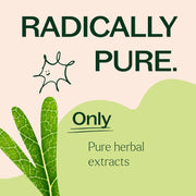 Plant Therapy Moringa Herbal Supplement - 120 Capsules Supplement Pale Goldenrod 120 ct