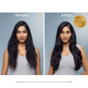 Nava Beauty Moroccanoil Treatment Hair Oil Hair White Smoke 25 mL / 0.85 Oz,50 mL / 1.7 Oz,100 mL / 3.4 Oz