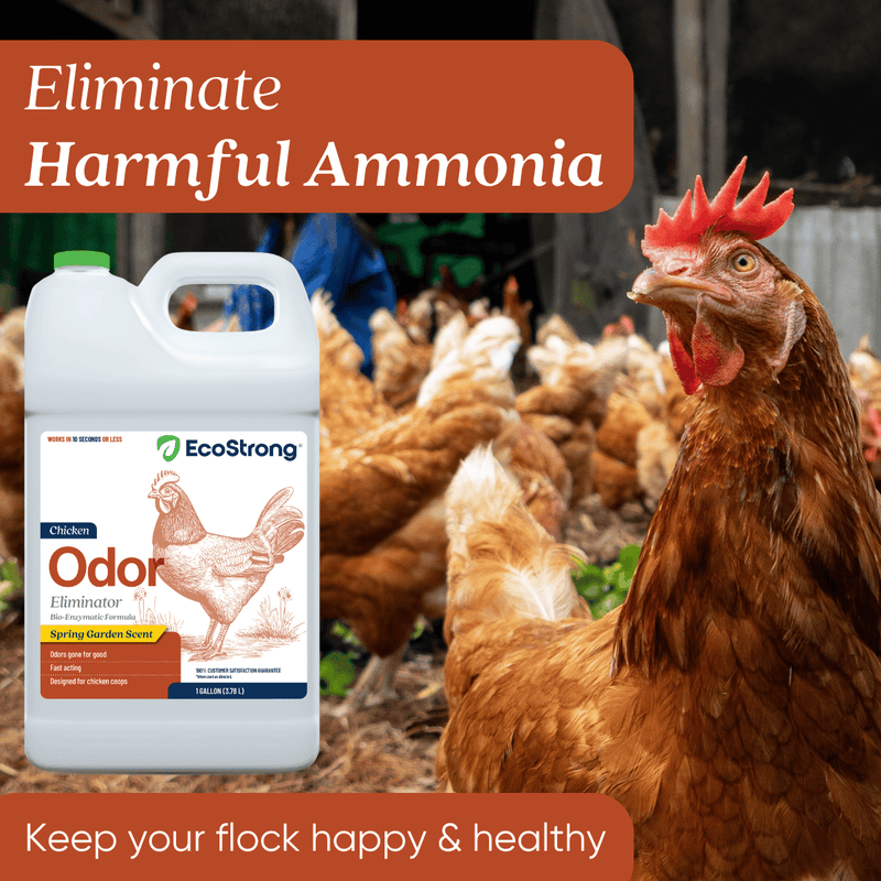 EcoStrong Chicken Coop Odor Eliminator Pet & Animal > Chicken Coop Odor Sienna 1 Gallon Jug,32 oz Sprayer Bottle
