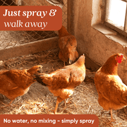 EcoStrong Chicken Coop Odor Eliminator Pet & Animal > Chicken Coop Odor Sienna 1 Gallon Jug,32 oz Sprayer Bottle