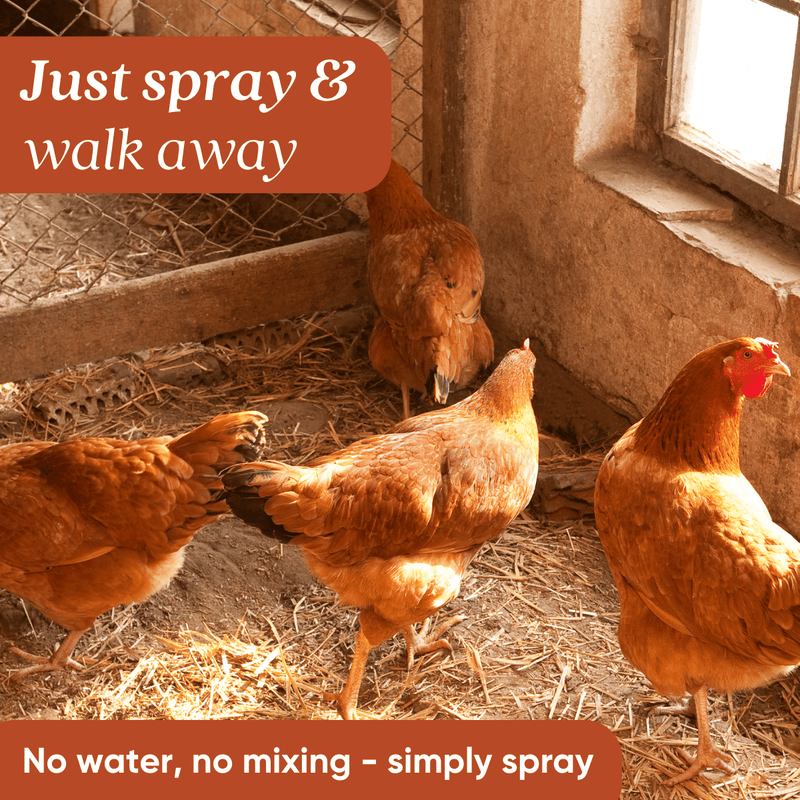 EcoStrong Chicken Coop Odor Eliminator Pet & Animal > Chicken Coop Odor Sienna 1 Gallon Jug,32 oz Sprayer Bottle