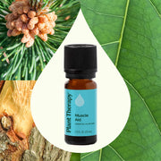 Plant Therapy Muscle Aid Essential Oil Blend Essential Oil Seashell 10 mL,30 mL