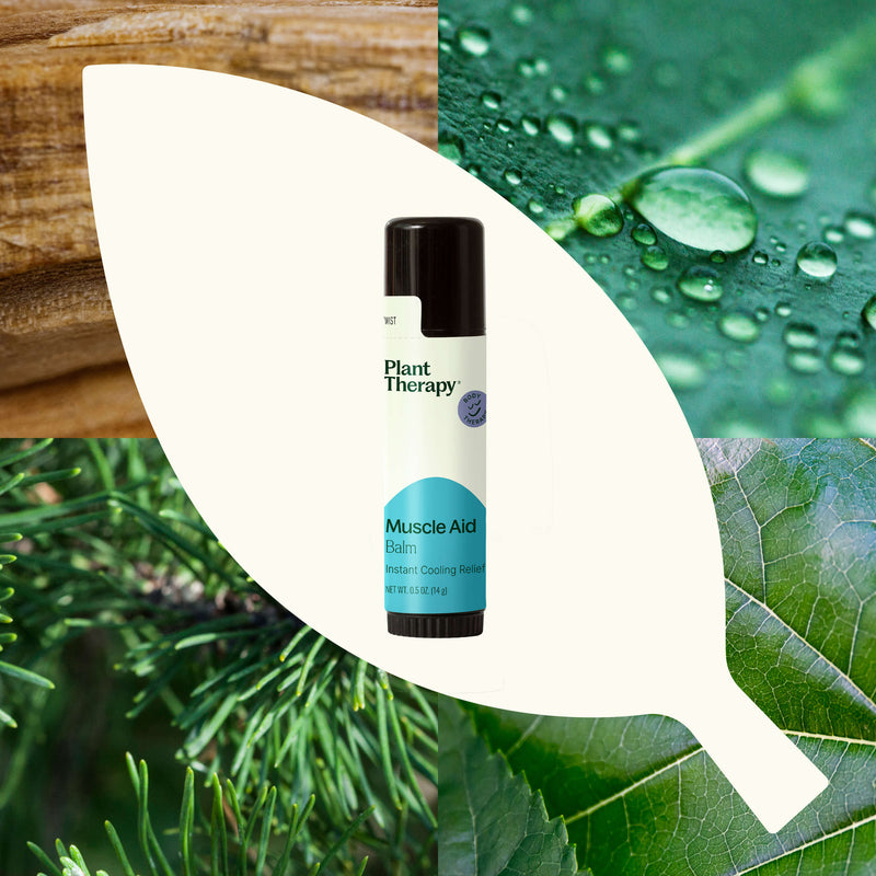 Plant Therapy Muscle Aid Balm Body Care Seashell .5 oz