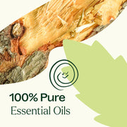 Plant Therapy Muscle Aid Essential Oil Blend Essential Oil Seashell 10 mL,30 mL