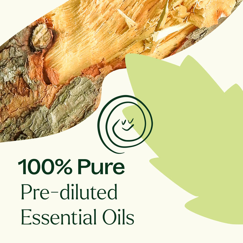 Plant Therapy Muscle Aid Essential Oil Blend Pre-Diluted Roll-On Essential Oil Seashell 10 mL