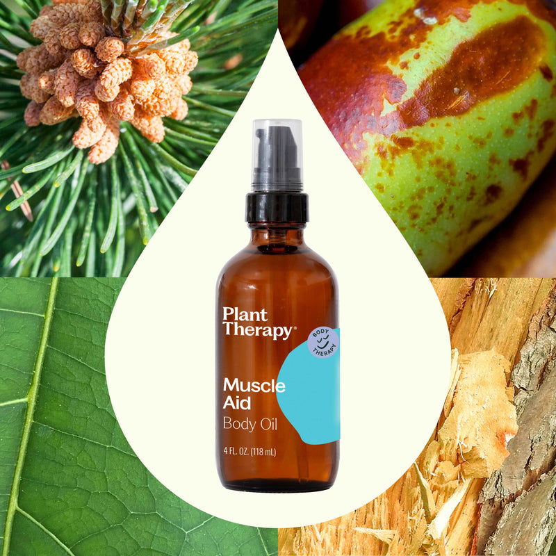 Plant Therapy Muscle Aid Body Oil Body Care Seashell 4 oz
