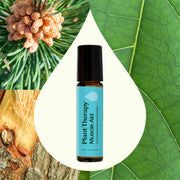 Plant Therapy Muscle Aid Essential Oil Blend Pre-Diluted Roll-On Essential Oil Seashell 10 mL
