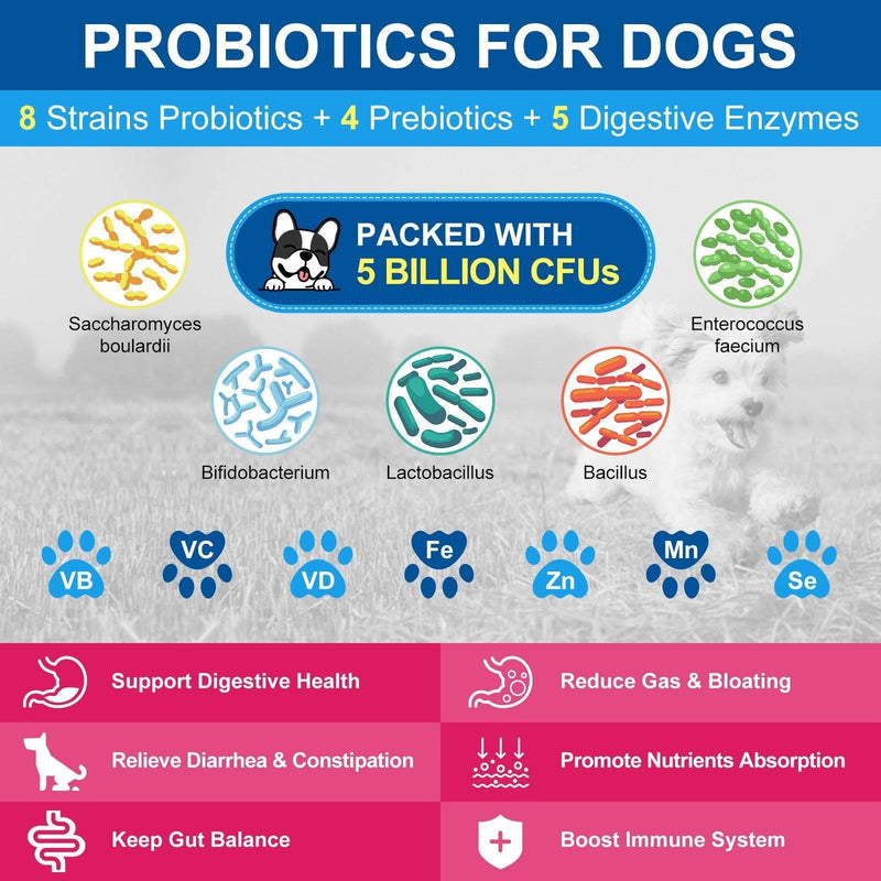 Nature Target 10-in-1 Vitamins for Dog & Cat, 5 Billion CFUs, 90 Scoops Pet Vitamins Supplements Gray