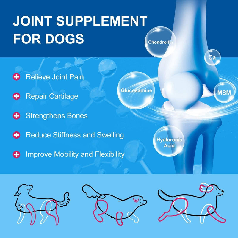 Nature Target 10-in-1 Vitamins for Dog & Cat, 5 Billion CFUs, 90 Scoops Pet Vitamins Supplements Light Sky Blue