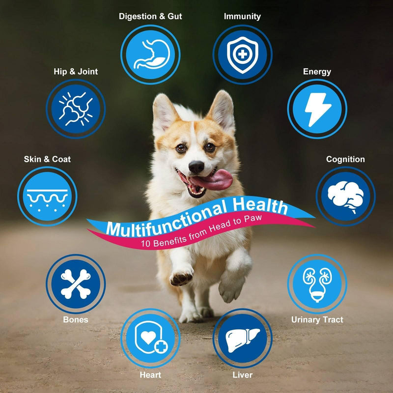 Nature Target 10-in-1 Vitamins for Dog & Cat, 5 Billion CFUs, 90 Scoops Pet Vitamins Supplements Black