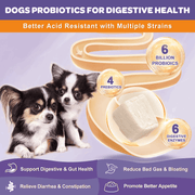 Nature Target Dogs & Cats Omega-3 Probiotic Chews with Chicken Flavor, 6B CFUs, 120ct Pet Vitamins Supplements Light Gray