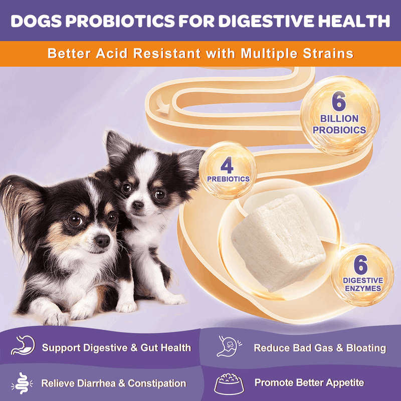 Nature Target Dogs & Cats Omega-3 Probiotic Chews with Chicken Flavor, 6B CFUs, 120ct Pet Vitamins Supplements Light Gray