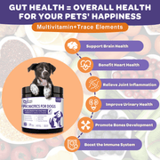 Nature Target Dogs & Cats Omega-3 Probiotic Chews with Chicken Flavor, 6B CFUs, 120ct Pet Vitamins Supplements Light Salmon