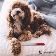 Warren London Glass Nail File for Dogs Spa Product Light Gray