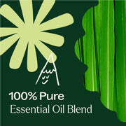Plant Therapy Nature Shield Essential Oil Blend Essential Oil Dark Green 10 mL,30 mL,100 mL