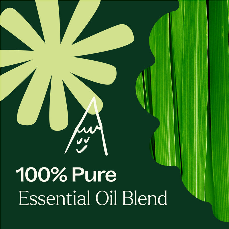 Plant Therapy Nature Shield Essential Oil Blend Essential Oil Dark Green 10 mL,30 mL,100 mL
